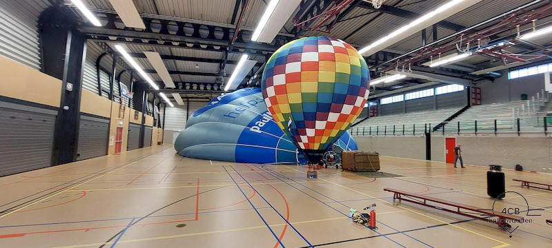 Ballonvaren in het voorjaar
